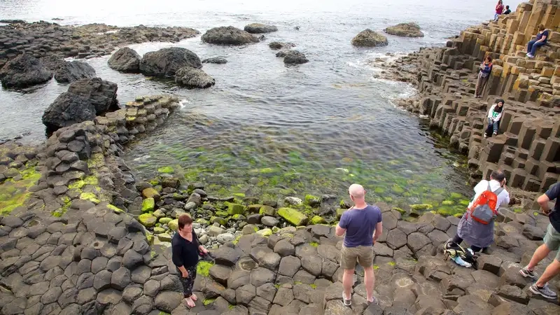 Ngắm Ảnh bình minh tại Giant's Causeway tuyệt đẹp