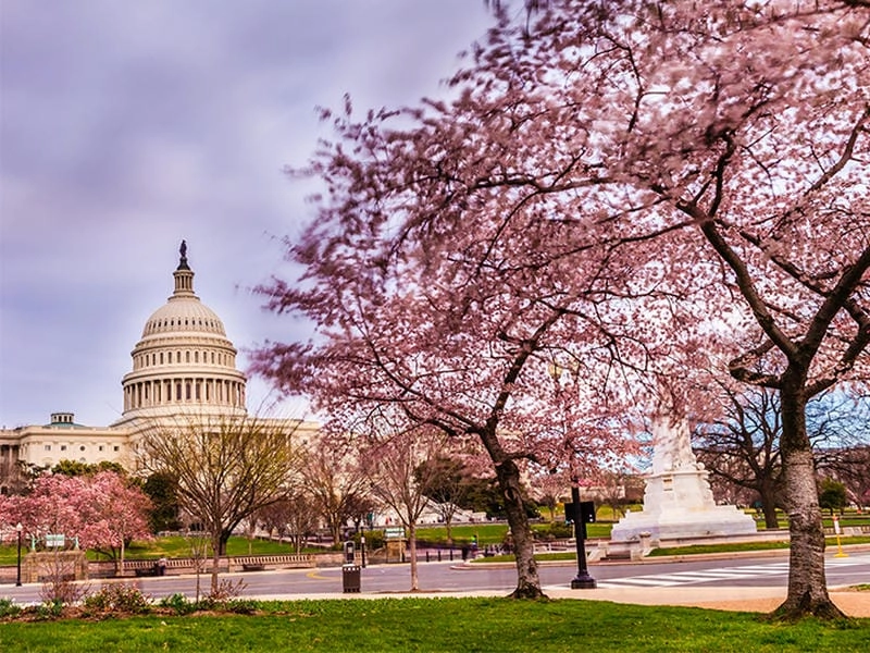 Ngắm cảnh từ Washington Monument nhìn Capitol đẹp lạ