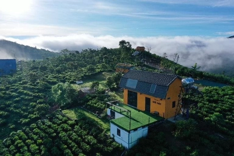 Ngắm hồ bơi villa Bảo Lộc cực chill tại villa đồi chè Bảo Lộc