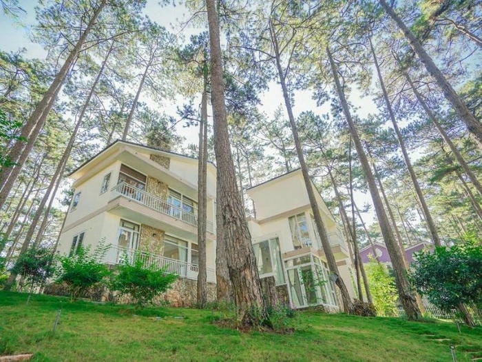 Ngắm hoàng hôn vàng rực tại Villa đồi thông Đà Lạt
