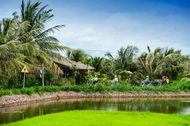 Ngắm nhìn kiến trúc nhà lá dân dã đặc trưng Nam Bộ
