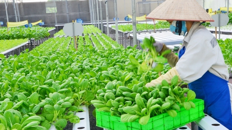 Nguyên tắc và phương pháp áp dụng công nghệ sản xuất sạch