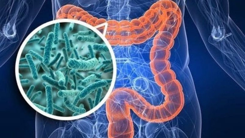 Nhóm đối tượng cần bổ sung men vi sinh