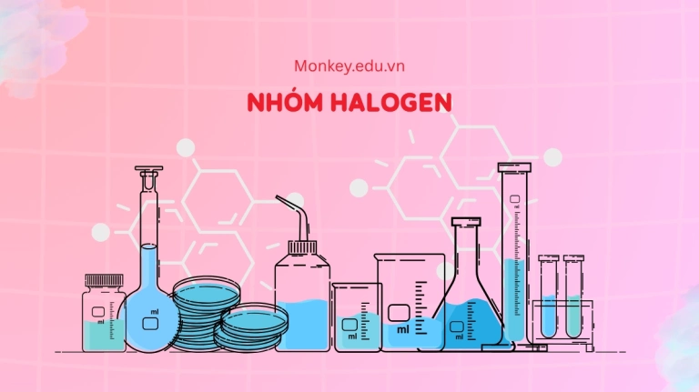 Nhóm Halogen là gì? Khám phá chi tiết về các nguyên tố và ứng dụng