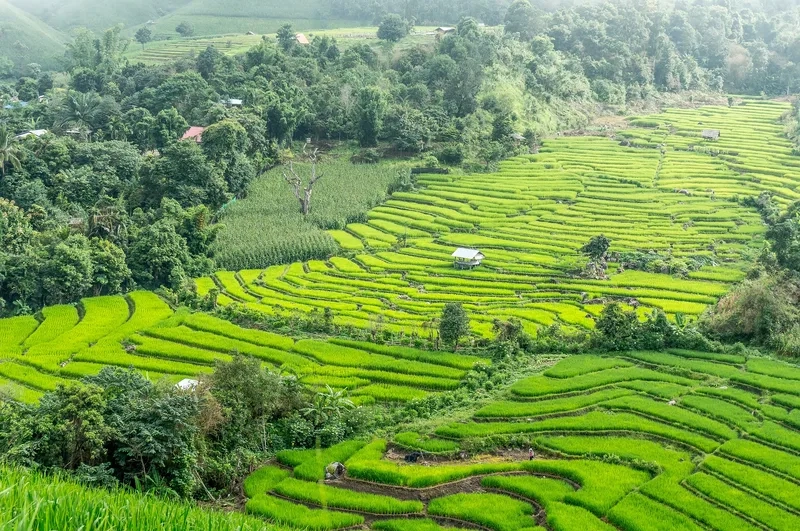 Những con đường đèo tuyệt đẹp ở Pai