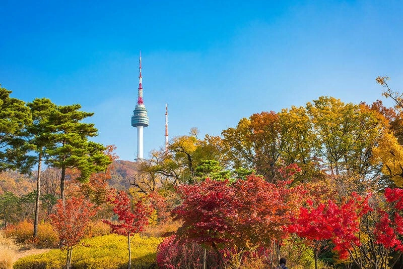 Những điểm ngắm mùa thu lá đỏ Seoul lý tưởng cho chuyến đi của bạn