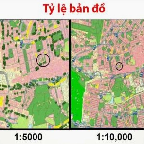 Phân biệt tỷ lệ và tỉ lệ: Hiểu đúng cách dùng