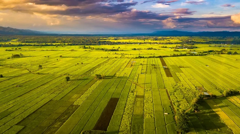 Phayao mùa thu mang vẻ đẹp lãng mạn tuyệt vời
