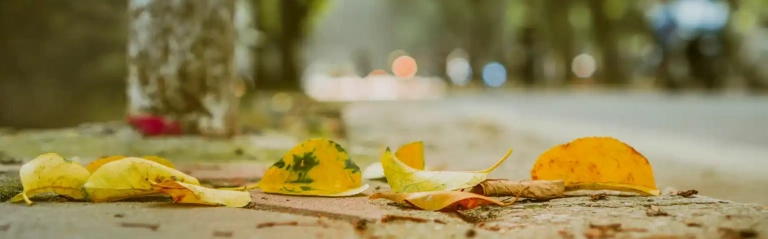 Phố Phan Đình Phùng Hà Nội: Vẻ đẹp lãng mạn và những góc nhìn độc đáo