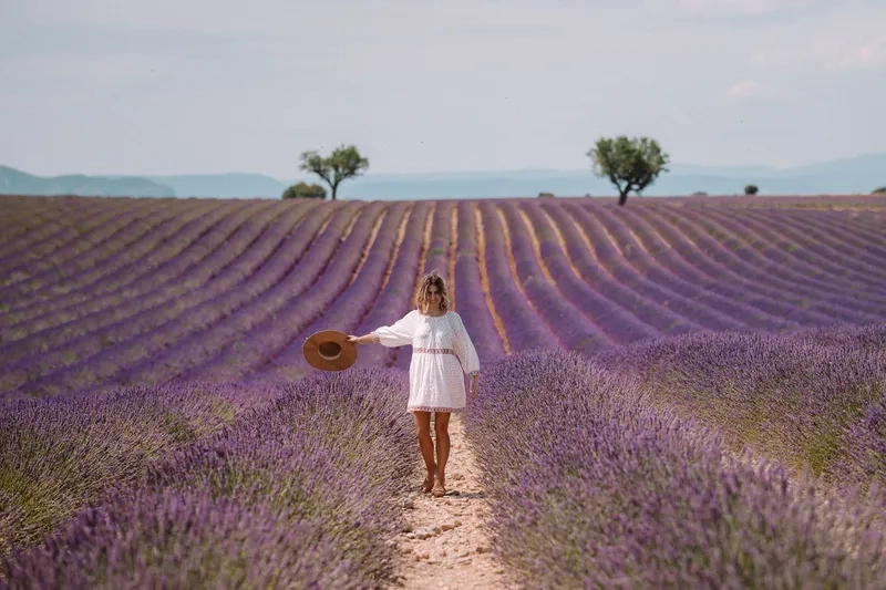 Provence như thiên đường cho tâm hồn