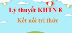Quần xã sinh vật là gì? Khám phá đặc trưng và mối quan hệ trong quần xã