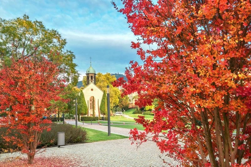 Quebec thơ mộng với sắc lá đỏ rực rỡ