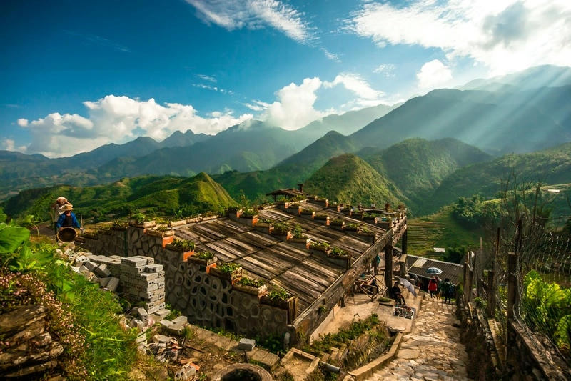 Ruộng bậc thang Sapa xanh mướt dưới ánh nắng sớm