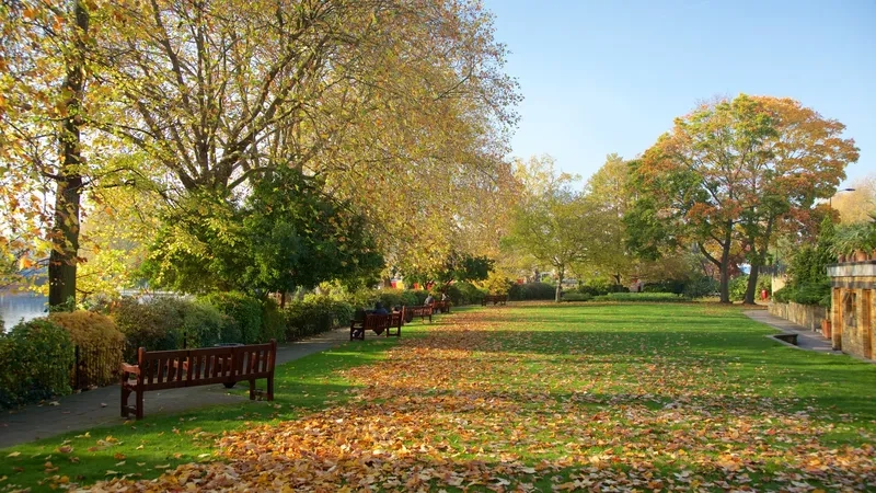 Sắc thu vàng trải khắp các con đường London