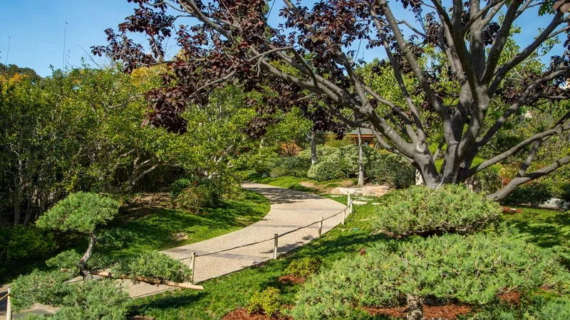 San Diego đem lại cảm giác yên bình và tự do