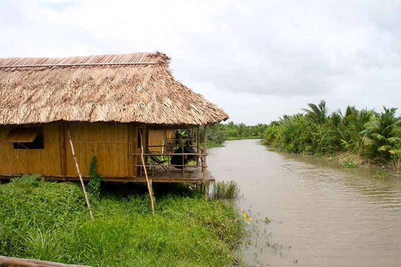 Sân vườn nhà lá Kiên Giang xanh mướt mang lại cảm giác thư thái