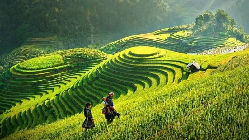 Sapa đẹp quanh năm, nhưng mỗi mùa mang một nét quyến rũ riêng