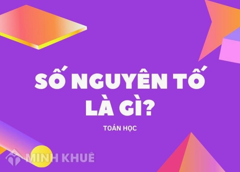 Số Nguyên Tố Là Gì? Khám Phá Định Nghĩa, Tính Chất và Cách Tìm Hiểu Chi Tiết