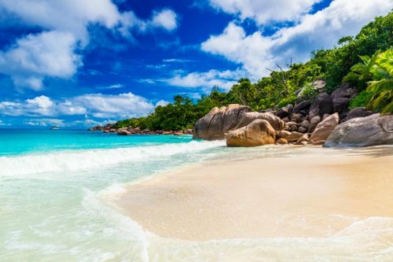 Sóng biển Cà Mau mùa hè dạt dào vỗ bờ đầy mê hoặc