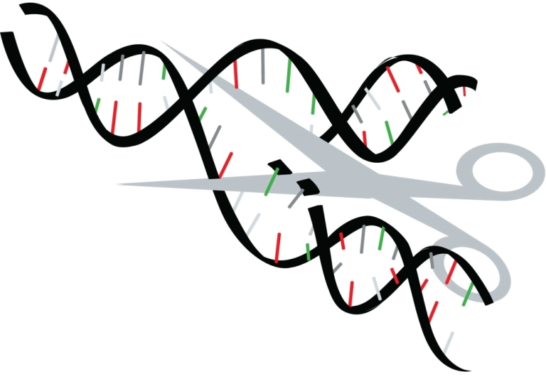 Sự thật gây sốc phía sau công nghệ chỉnh sửa gene hiện đại