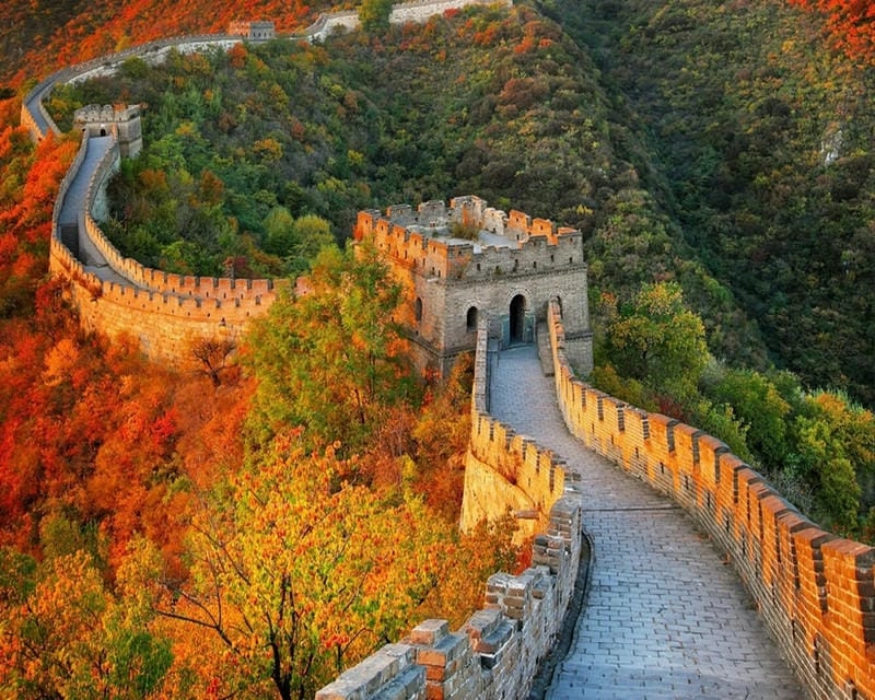 Sương mù lá đỏ buổi sớm mai huyền ảo