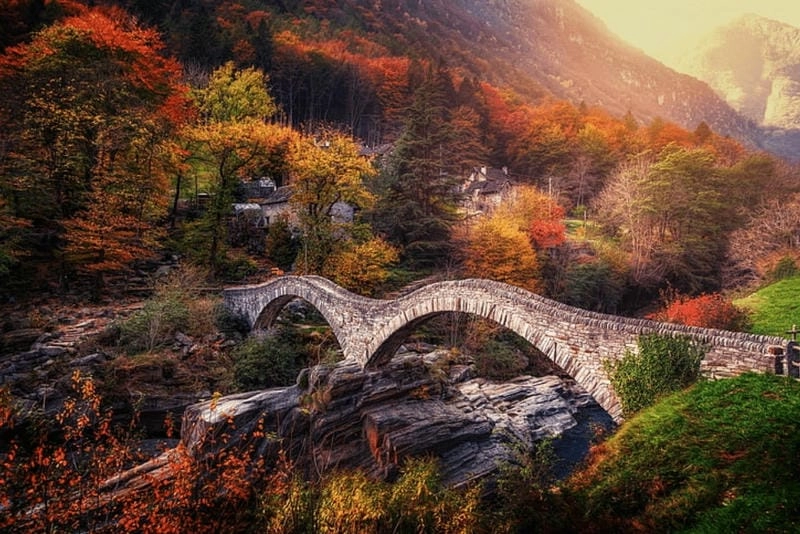 Sương mù lá vàng buổi sớm mai huyền ảo