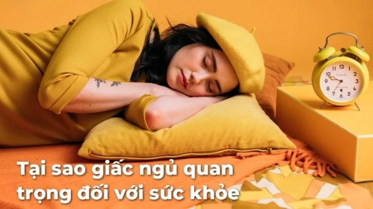 Tại sao giấc ngủ quan trọng với sức khỏe con người?