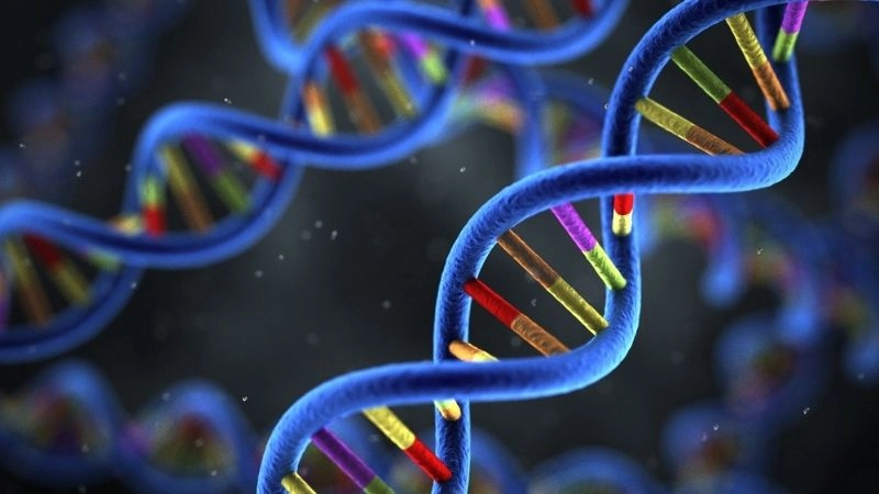 Tái tạo DNA và hồi sinh loài