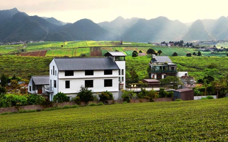 Thưởng thức không gian xanh Villa đồi chè Mộc Châu và sân vườn villa Mộc Châu