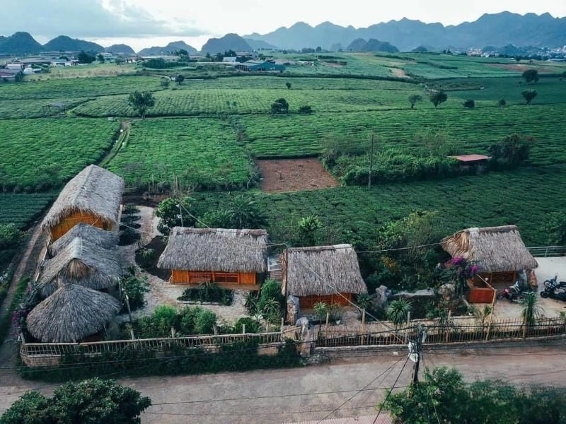 Trải nghiệm Villa thơ mộng trong Villa đồi chè Mộc Châu lãng mạn