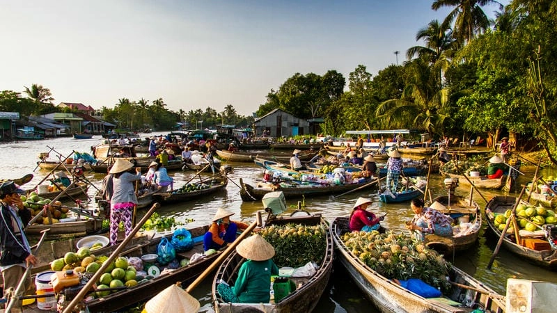 Tấp nập thuyền bè tại Chợ nổi Cái Răng ảnh ở Đồng bằng sông Cửu Long