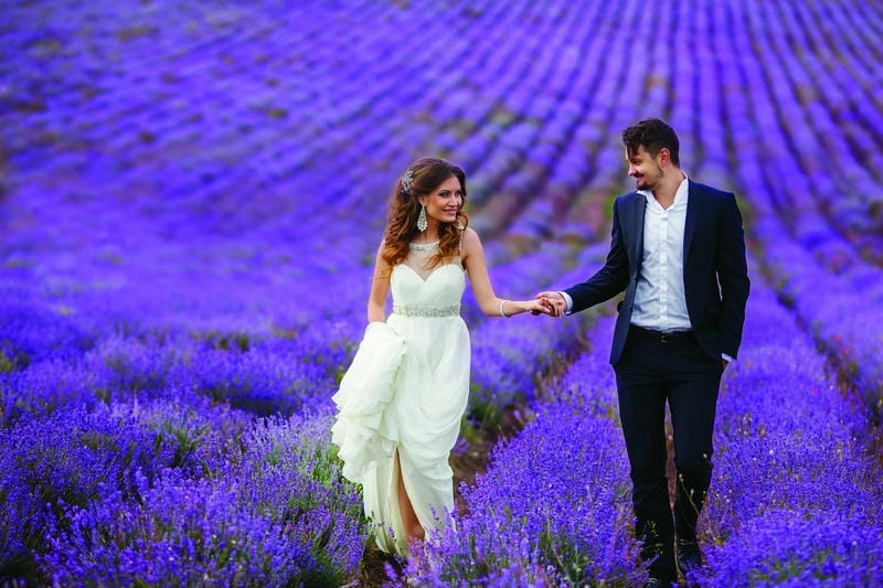 Tây Ban Nha thơ mộng với hoa lavender