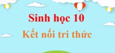 Tế bào nhân sơ và tế bào nhân thực: Phân biệt cấu trúc, chức năng và vai trò