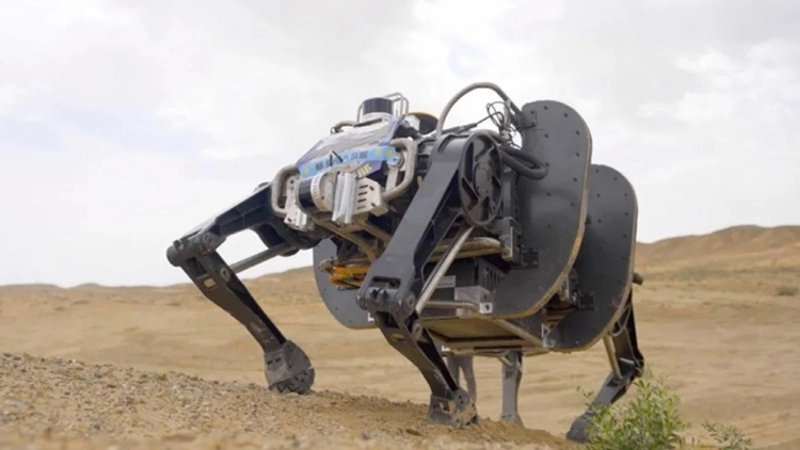 Thách thức và tiềm năng phát triển của robot môi trường