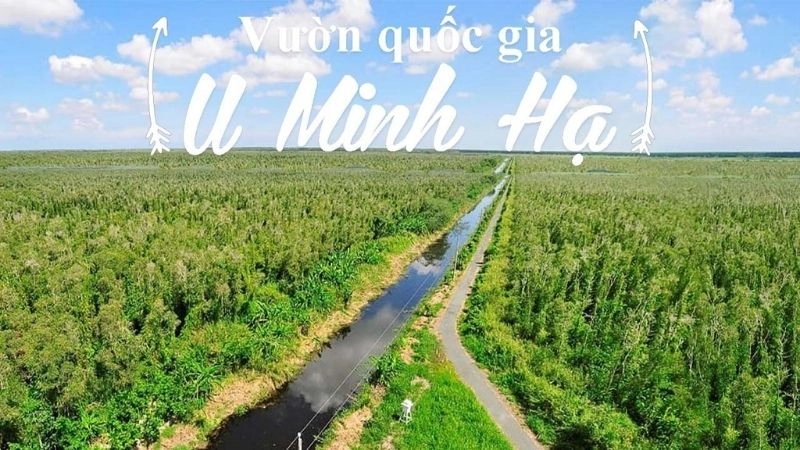 Thời điểm lý tưởng để đến rừng U Minh Hạ