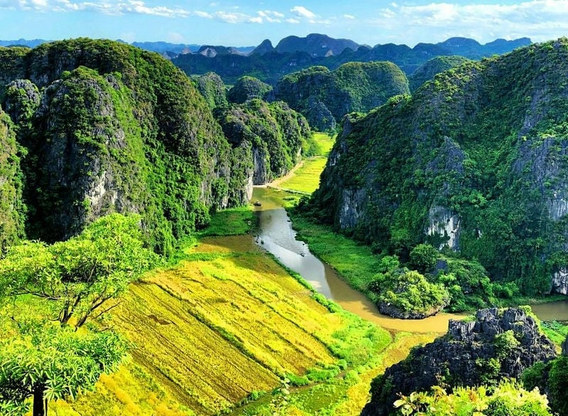 Thơm mùi nắng mới ruộng lúa Tam Cốc