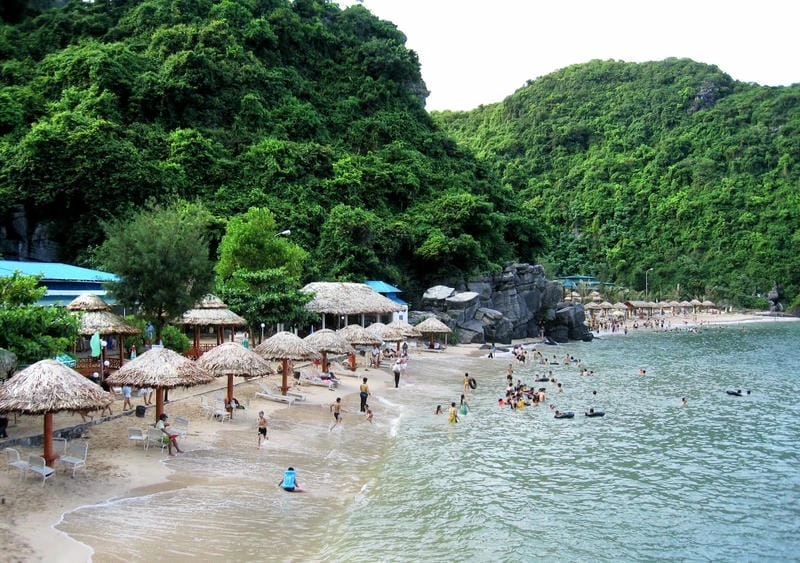 Thư giãn trong Villa biển Cát Bà villa thơ mộng giữa thiên nhiên