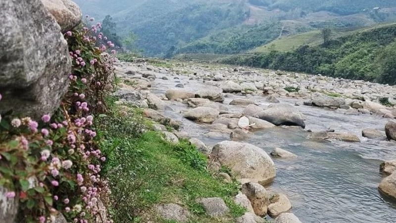 Thung lũng Mường Hoa chốn tìm về của tâm hồn