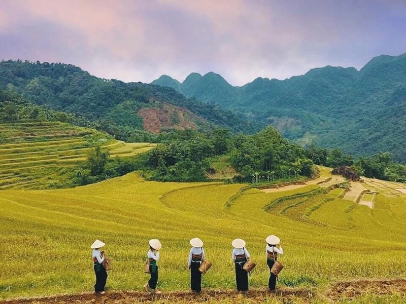Tĩnh lặng huyền bí mùa thu về đêm