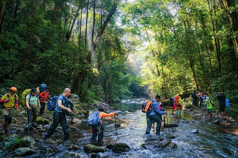 Trải nghiệm trekking Vườn quốc gia Bidoup Núi Bà