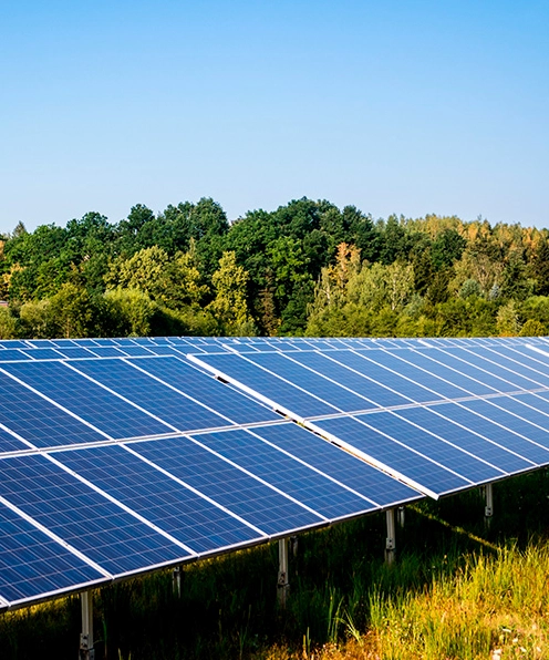 Trang trại điện mặt trời (Solar Farm) là gì? Giải pháp năng lượng tái tạo đột phá