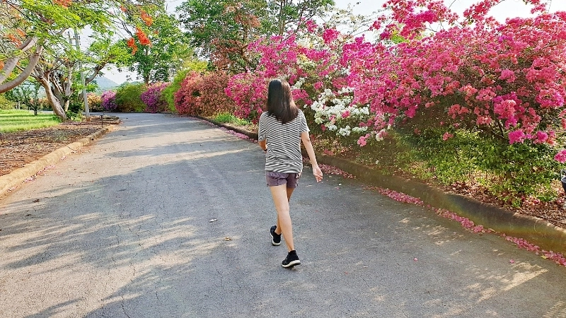 Trước khi bắt đầu đi bộ, hãy dành 3–5 phút để khởi động nhẹ nhàng