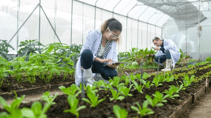 Ứng dụng FoodTech thực tế mở ra cơ hội phát triển bền vững