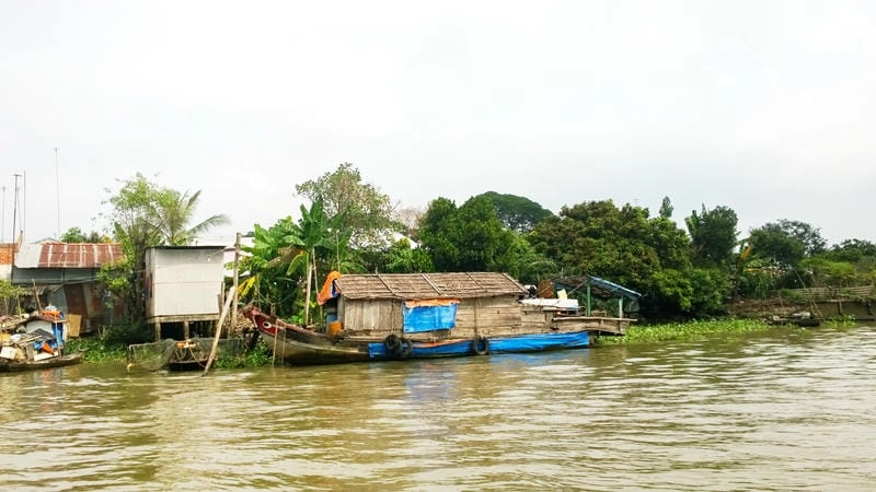 Vẻ đẹp hoang sơ của thiên nhiên Tiền Giang