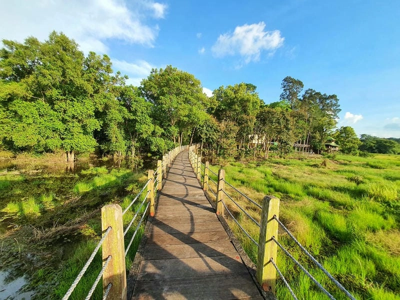 Vẻ đẹp nguyên sơ ở Vườn quốc gia Cát Tiên Đồng Nai
