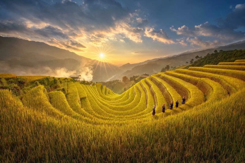 Vẻ đẹp Ruộng bậc thang Hà Giang như tranh thủy mặc