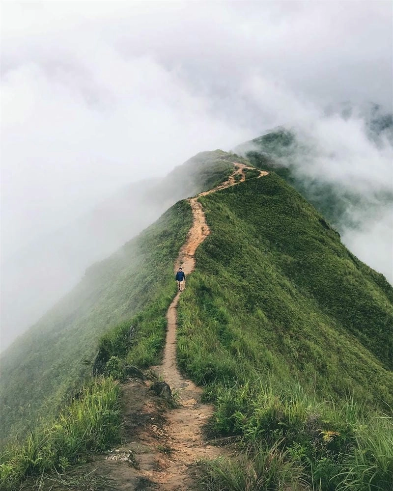Vẻ đẹp sống lưng khủng long Tà Xùa