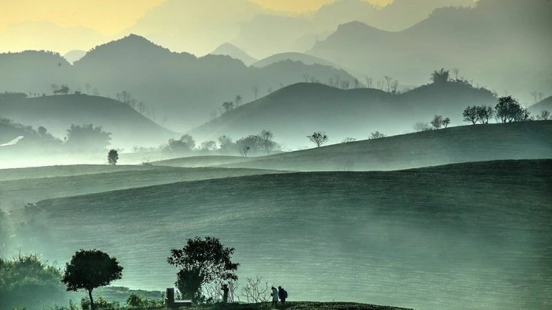 Vũ điệu lá chè trên cao nguyên Mộc Châu