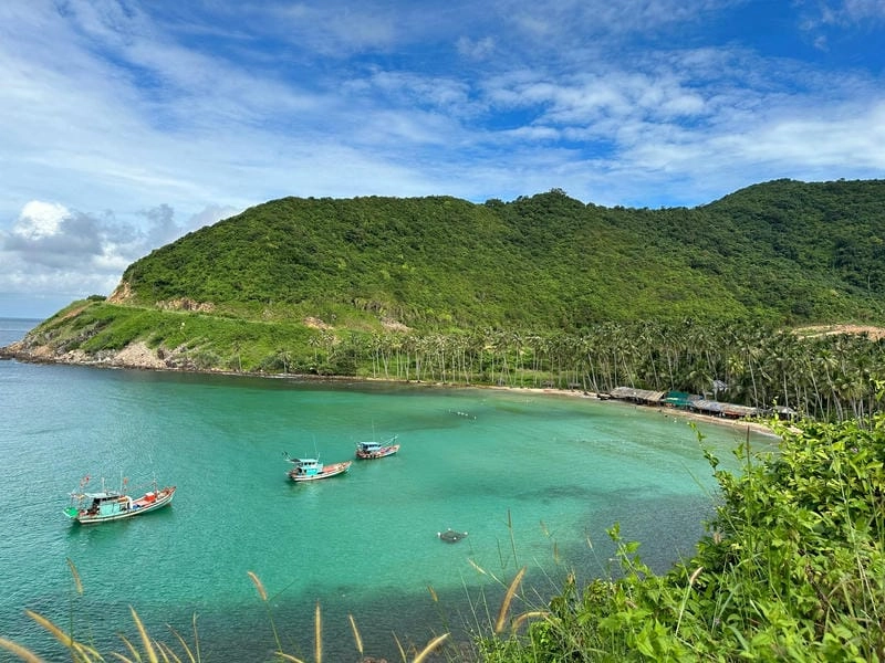 Vùng biển Nam Du có hệ sinh thái san hô đa dạng