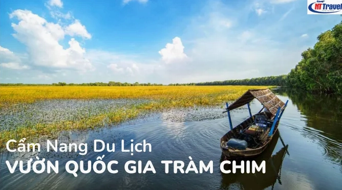 Vườn quốc gia Tràm Chim: Khám phá hệ sinh thái độc đáo và kinh nghiệm tham quan